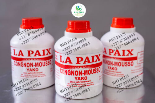 Congnon Mousso Yako
