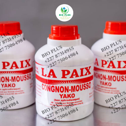 Home Congnon Mousso Yako