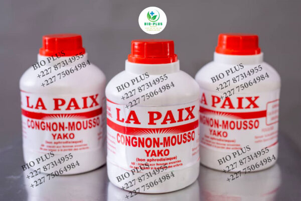Congnon Mousso Yako